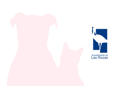 img-07 Ayto Las Rozas