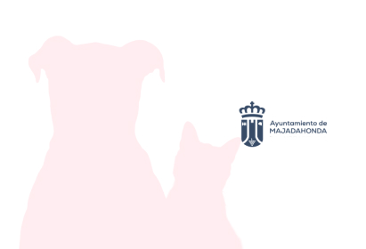img-09 Ayto Majadahonda