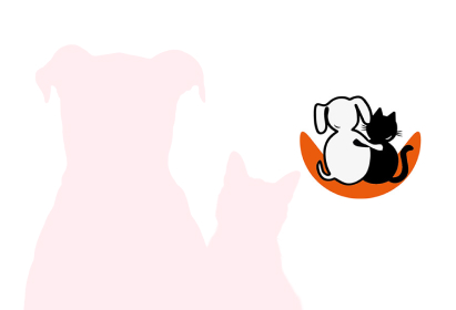 img-11 Ayto Rivas Vaciamadrid