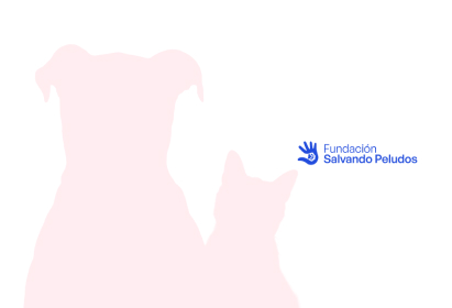 img-12 Ayto. de Alcorcón