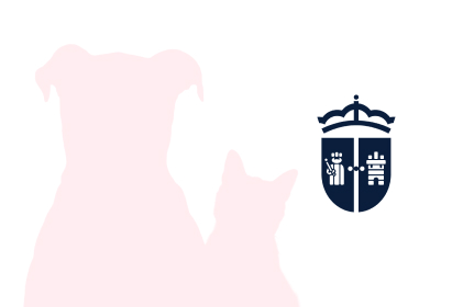 img-12 Ayto Valdemoro