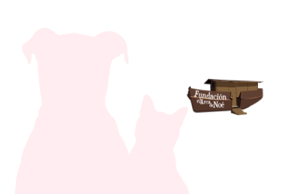 img-14 Fundación Arca de Noé