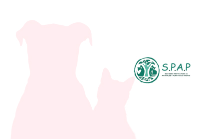 img-15 SPAP Sociedad Protectora de Animales y Plantas de Madrid