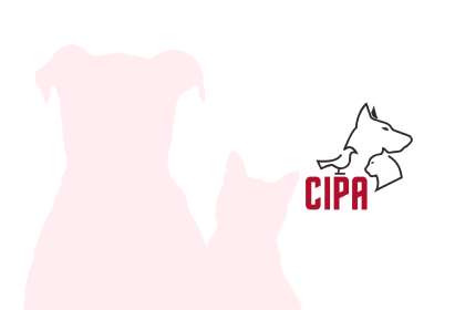 img-16 Ayto. de Alcorcón