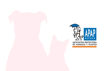 img-16 APAP Alcalá Asociación Protectora de Animales y Plantas San Martín de Porres