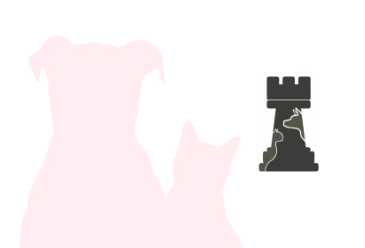 img-17 ARAT Centro de Acogida Animal