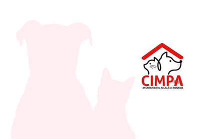 img-19 Ayto Alcalá de Henares (CIMPA)